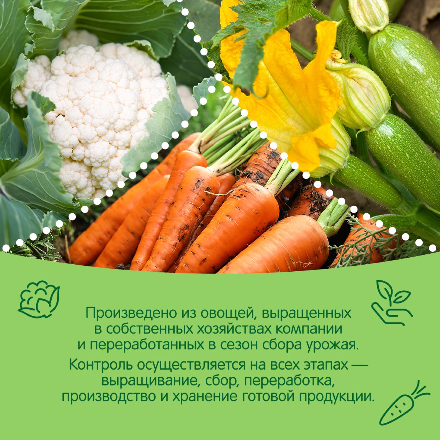Пюре Сады Придонья из цветной капусты кабачков моркови и картофеля Рагу 120г с 6 месяцев - фото 4