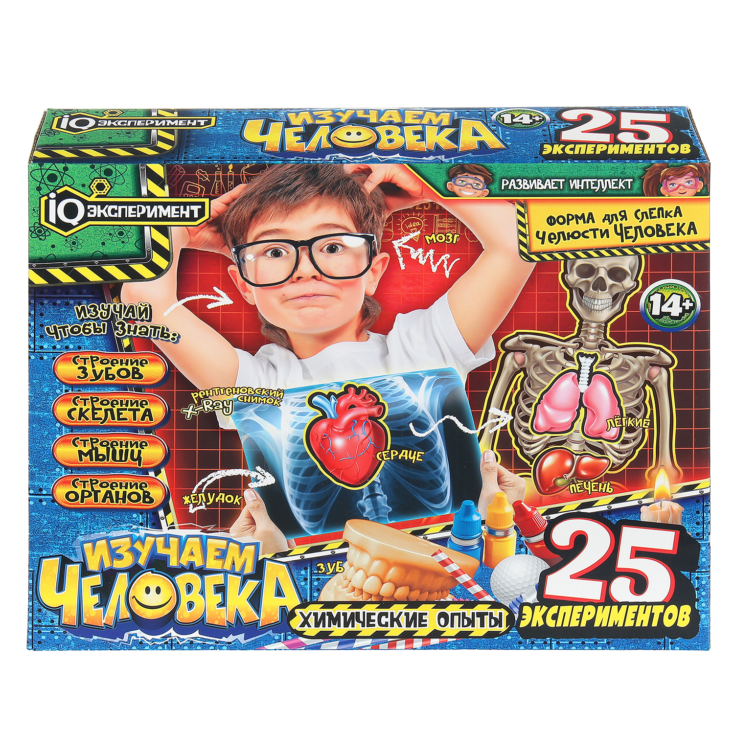 Набор для опытов Играем вместе Изучение человека - фото 1