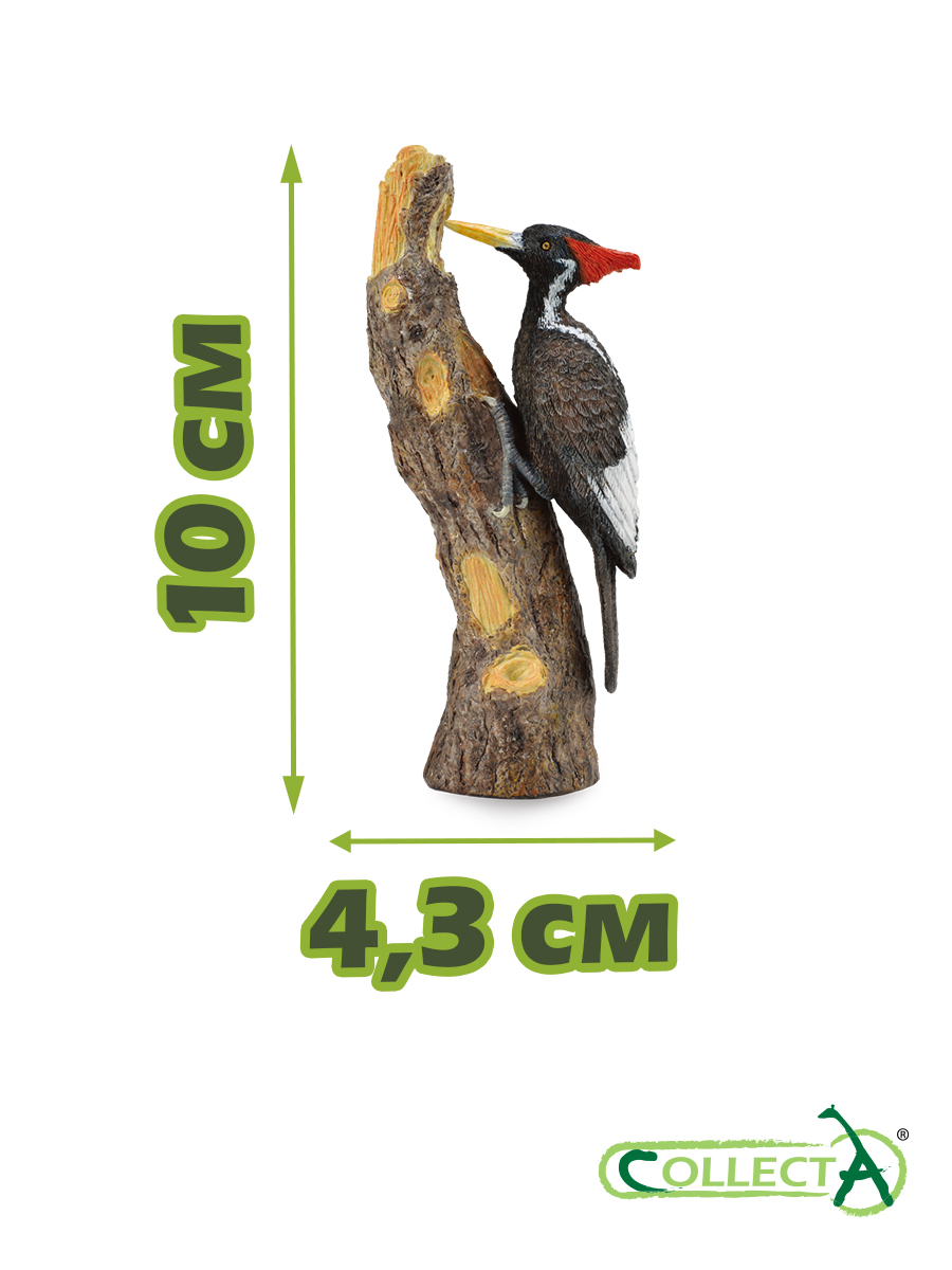 Фигурка Collecta Белоклювый Дятел - фото 2
