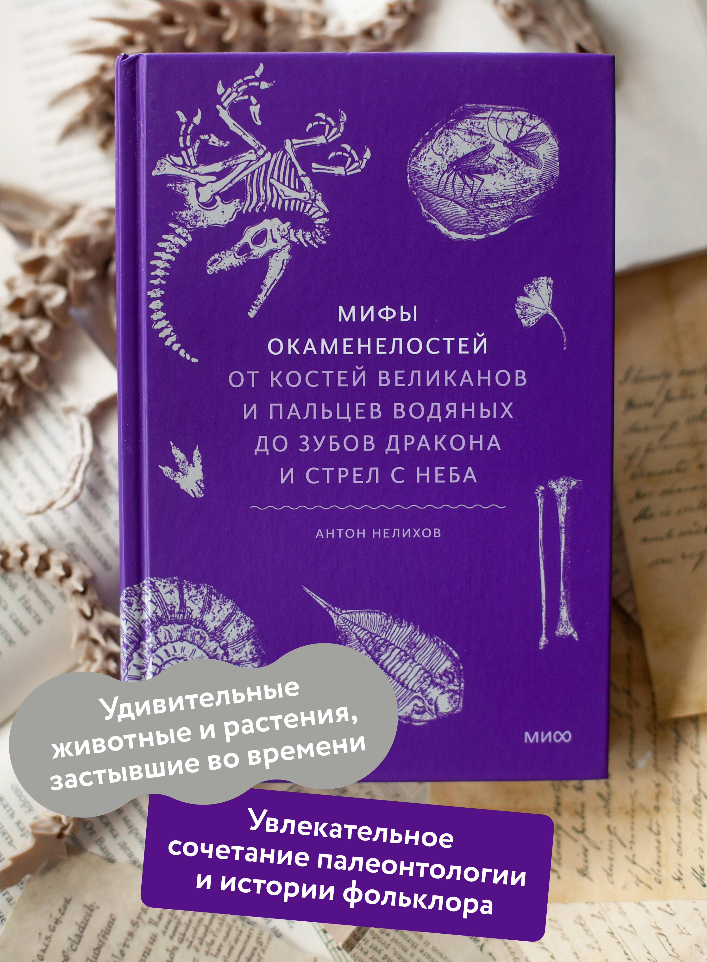 Книга МИФ Мифы окаменелостей. От костей великанов и пальцев водяных до зубов дракона - фото 3