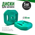 Диски для грифа 2,5 кг х 2 шт набор, блины пластиковые