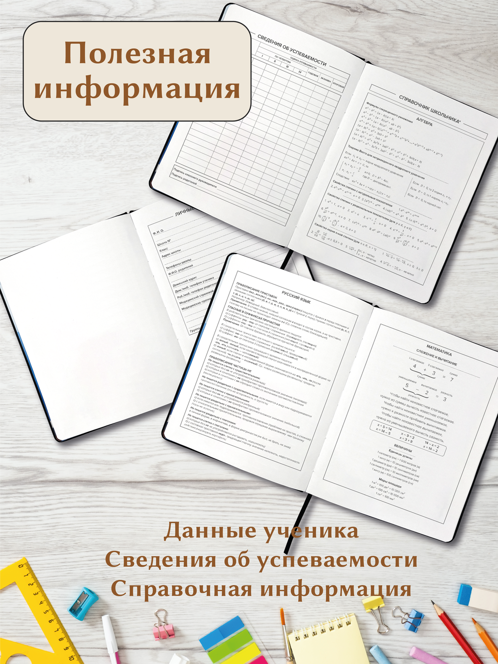 Дневник школьный AXLER 5 – 11 класс для мальчика и девочки - фото 5