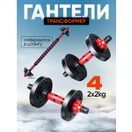 Набор блинов с грифом БлинДаГриф Гантель 2кг 2шт