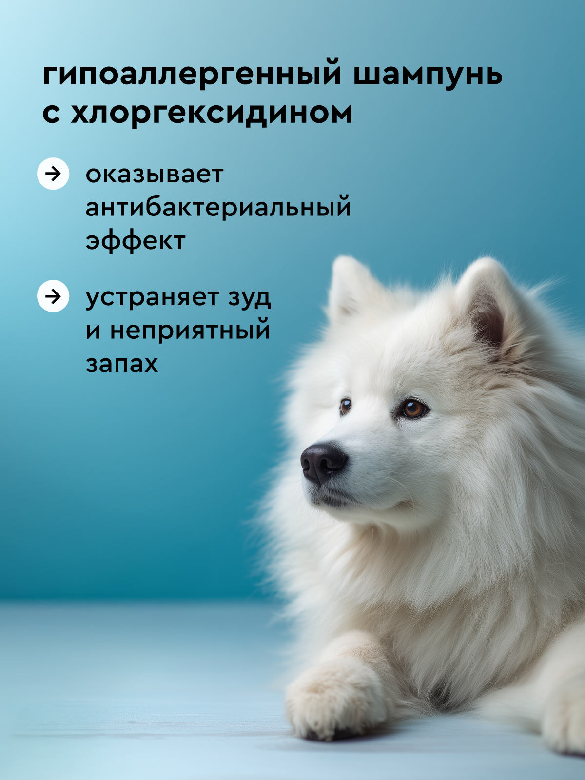 Шампунь для собак и кошек Pamilee с хлоргексидином антибактериальный против зуда и запаха - фото 2