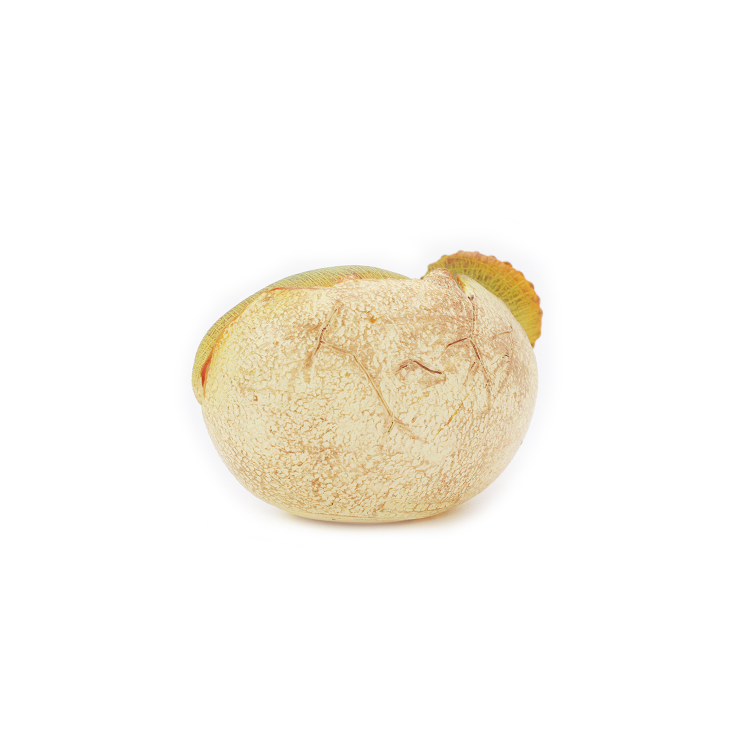 Фигурка Детское Время Трицератопс в яйце - фото 2