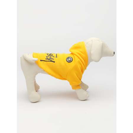 Толстовка для собак PIFPAF DOG