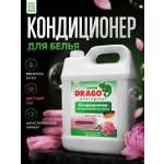 Кондиционер Green Drago Цветущий сад 5 кг