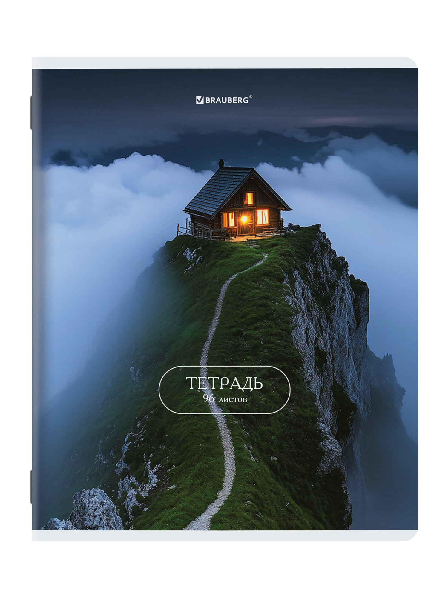 Общая тетрадь Brauberg клетка 96 лист. 5 шт. - фото 17