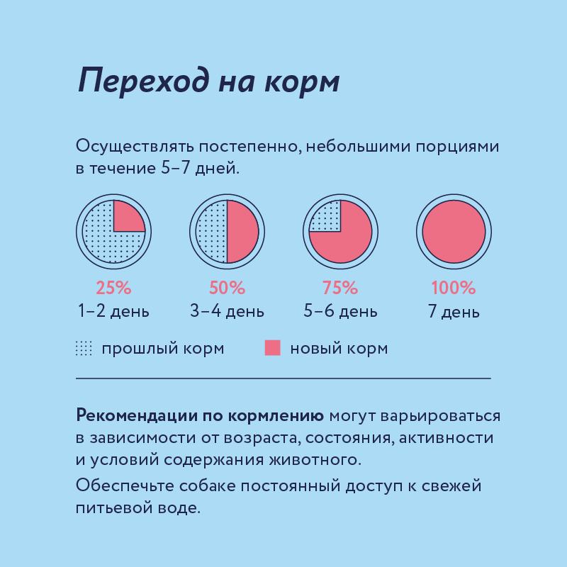 Корм для собак Florida 400г ягненок-черника - фото 6