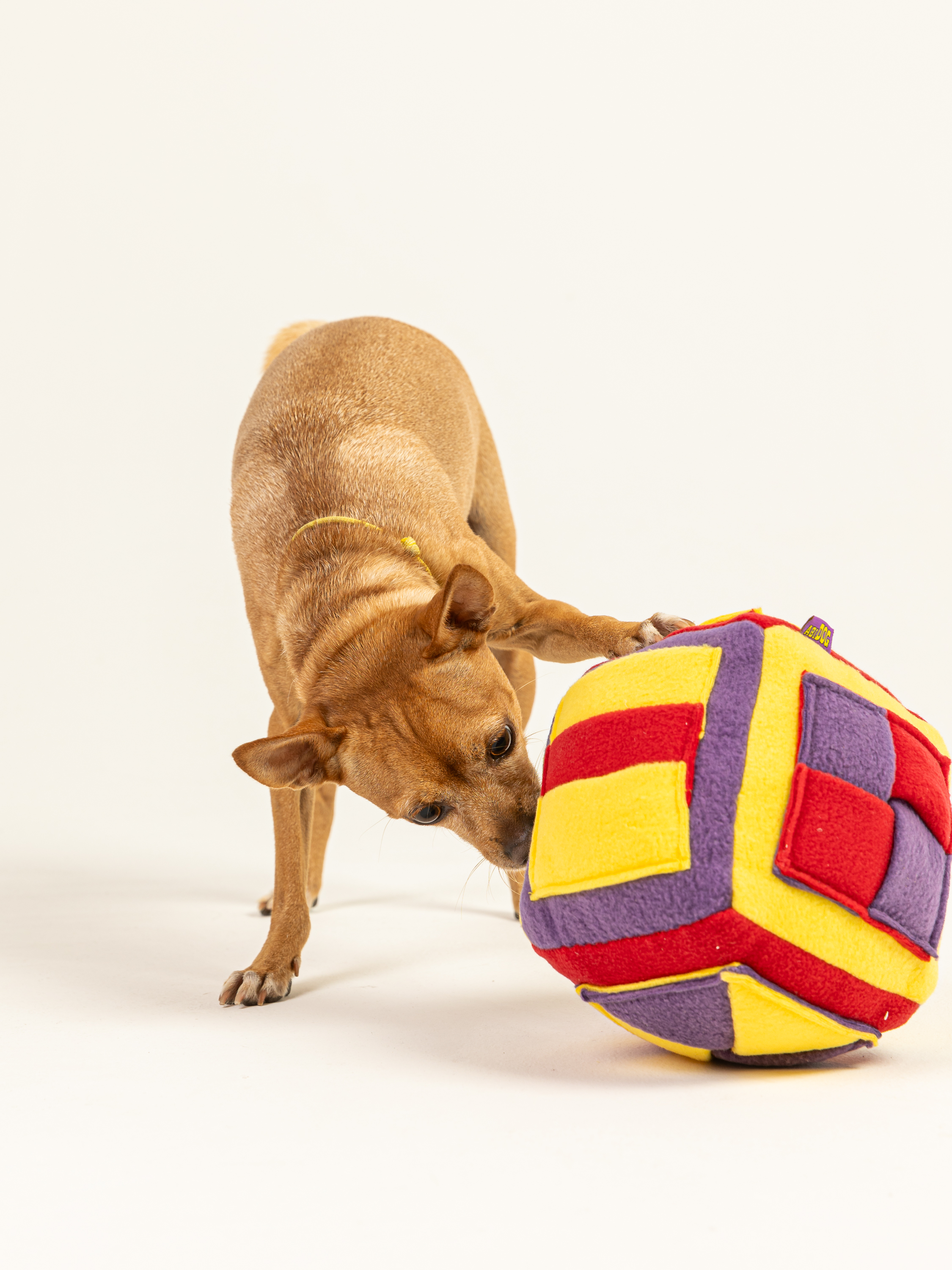 Поисковая игрушка для собак PRIVEREDA Кубик - фото 6