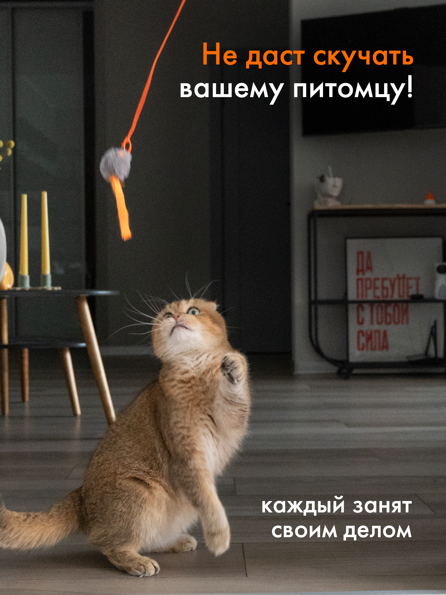 Интерактивная игрушка Pet Flat Умная дразнилка для кошек с мышкой - фото 6
