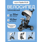 Изображение товара Трехколесный велосипед Velobibi 10 дюймов