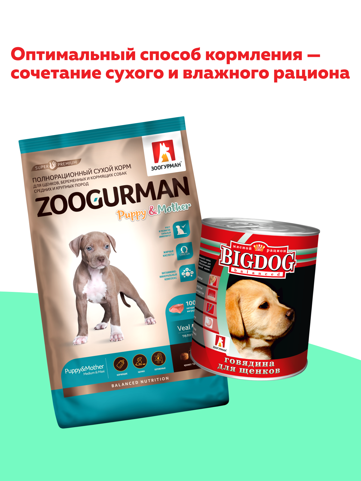 Корм влажный Зоогурман Big Dog Говядина - фото 6