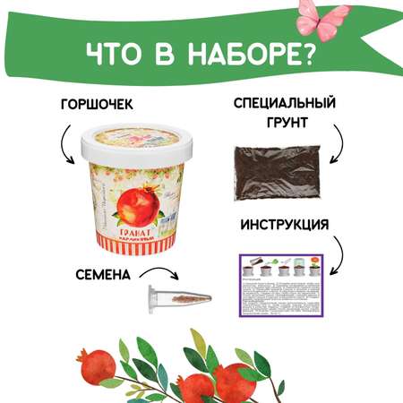 Набор для выращивания Rostok Visa