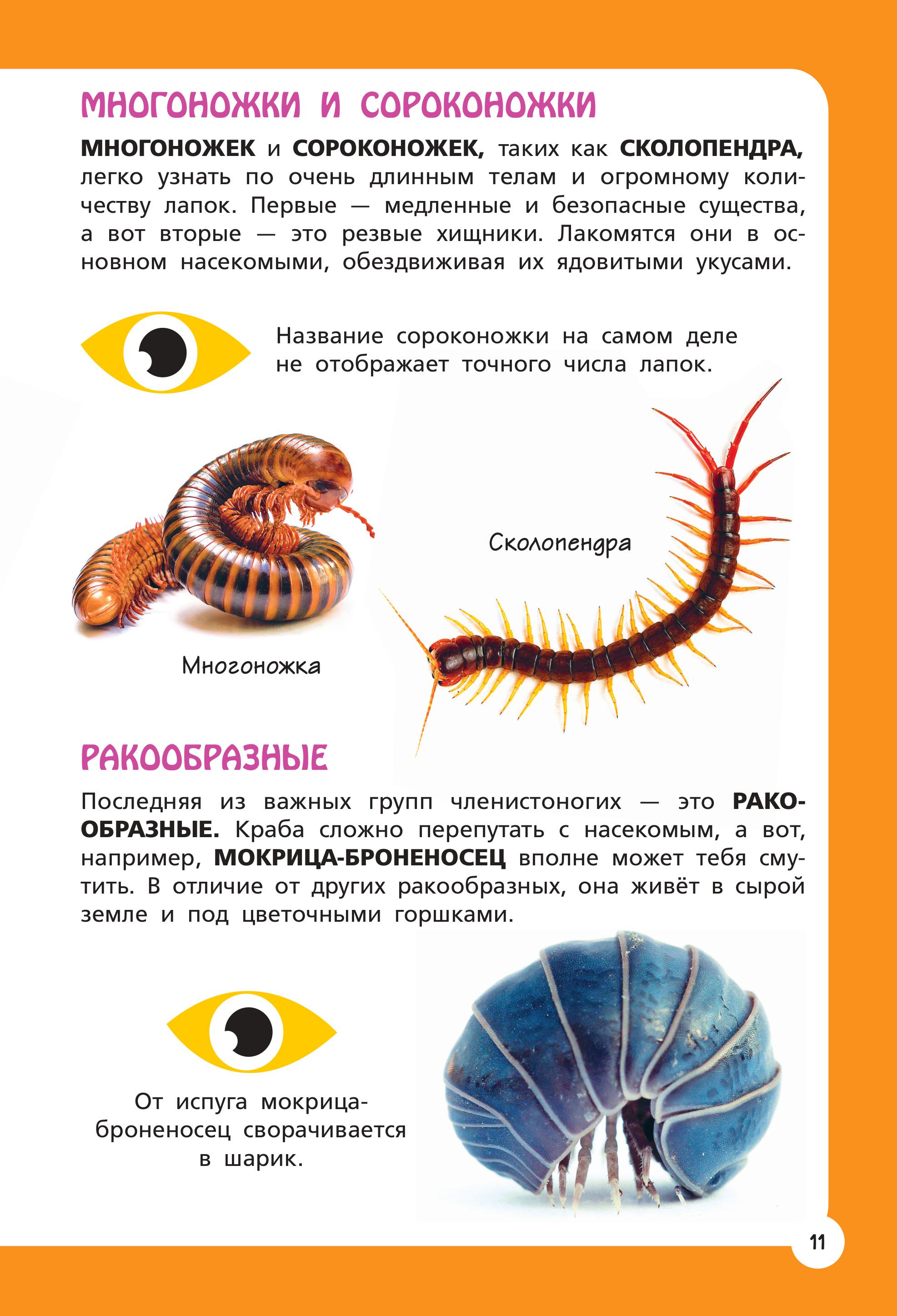 Книга Эксмо Самые необычные животные и места мира - фото 10