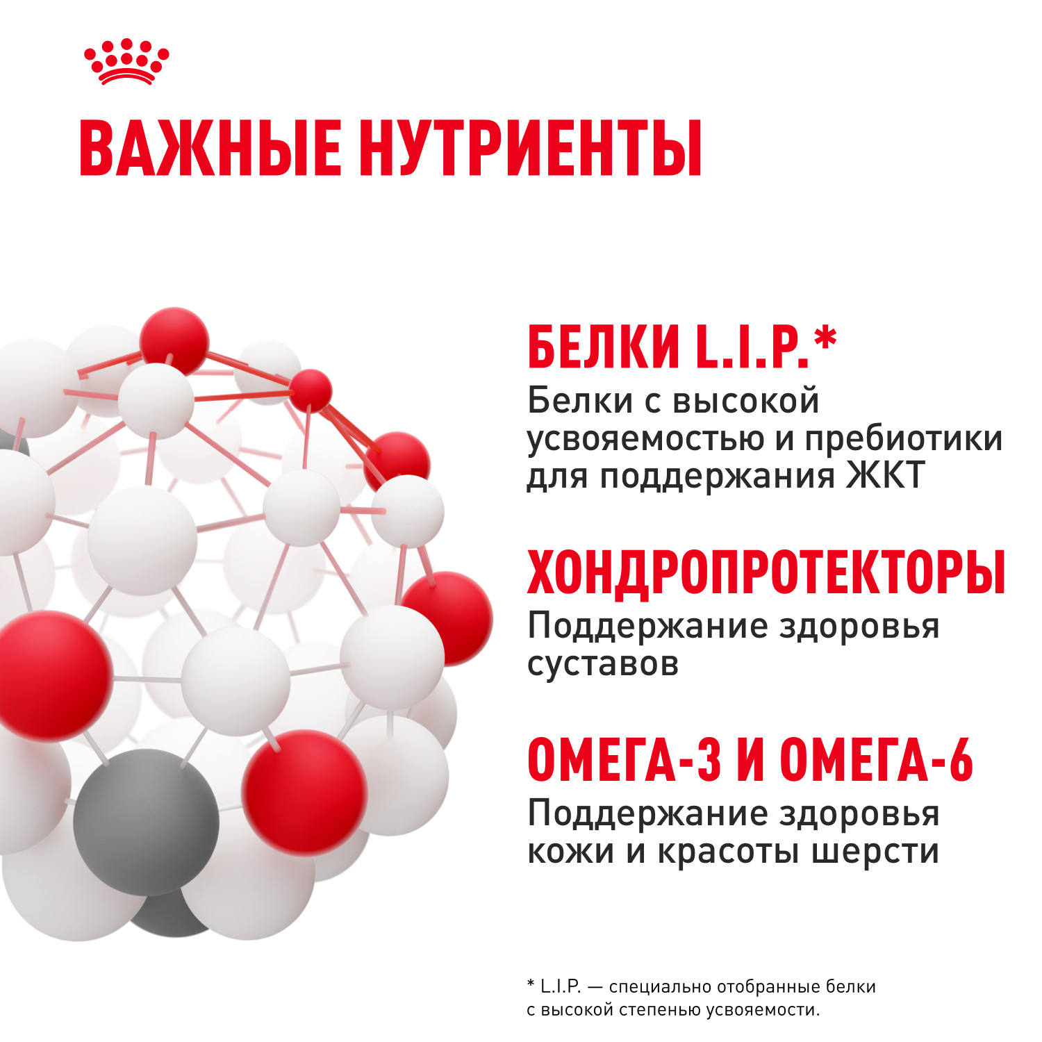Корм для собак ROYAL CANIN крупных пород до 5 лет 15кг - фото 5