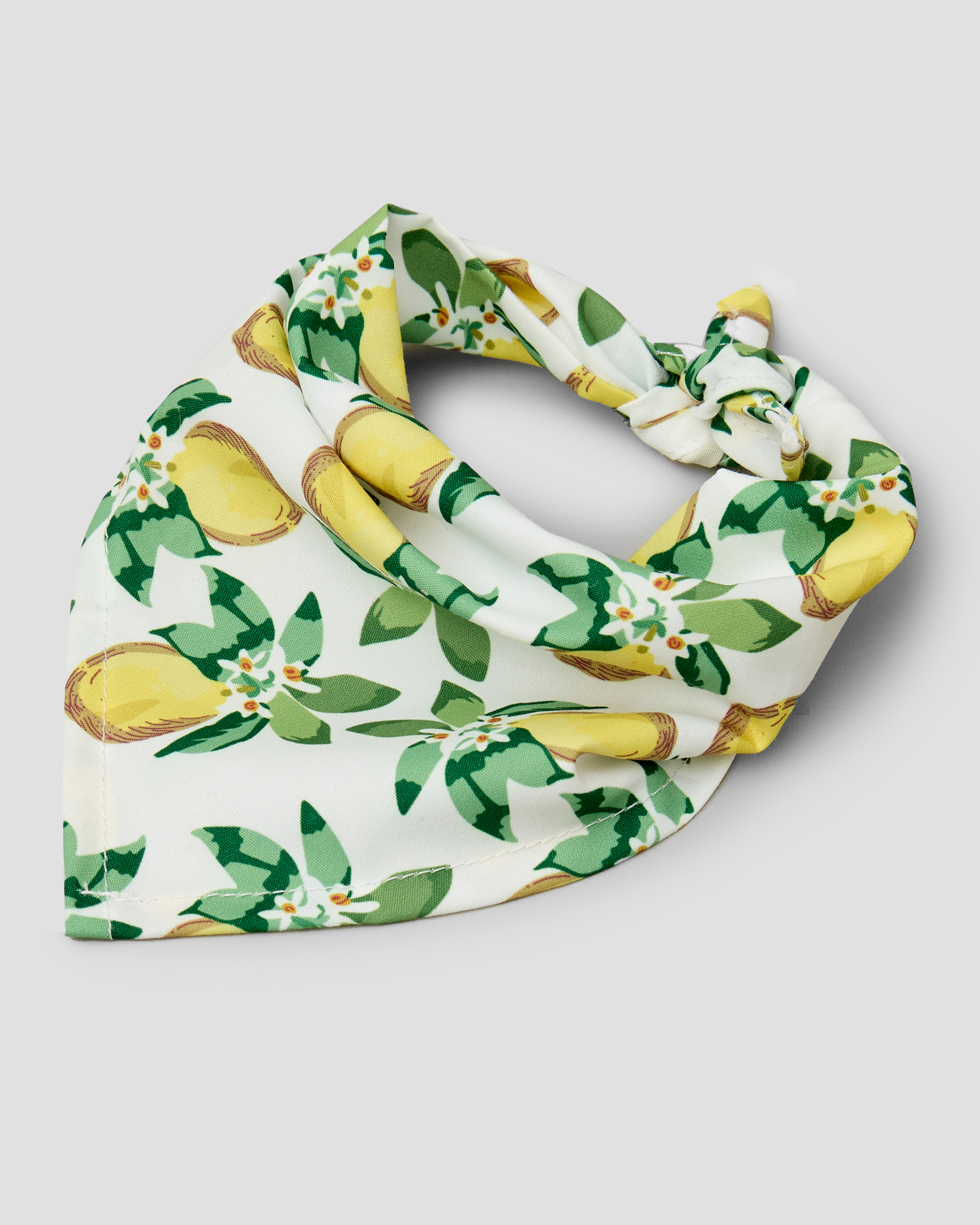 Шарф для собак и кошек Зоозавр - фото 1