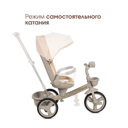 Трехколесный велосипед Farfello 10 дюймов