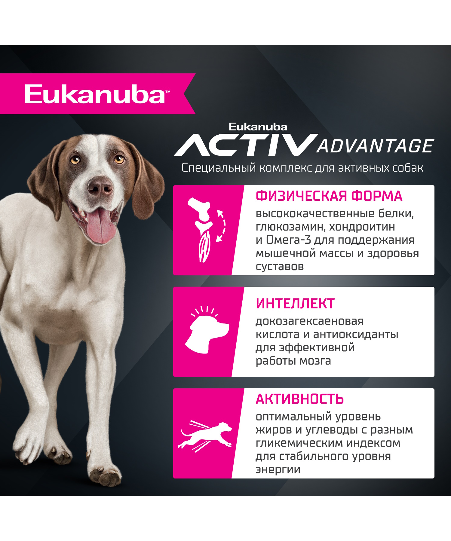 Корм для собак сухой для взрослых собак Eukanuba крупных и очень крупных пород старше 1 года с ягненком 12кг - фото 2