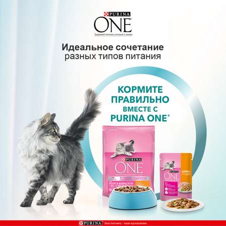 Корм для котят Purina One курица-злаки 750г