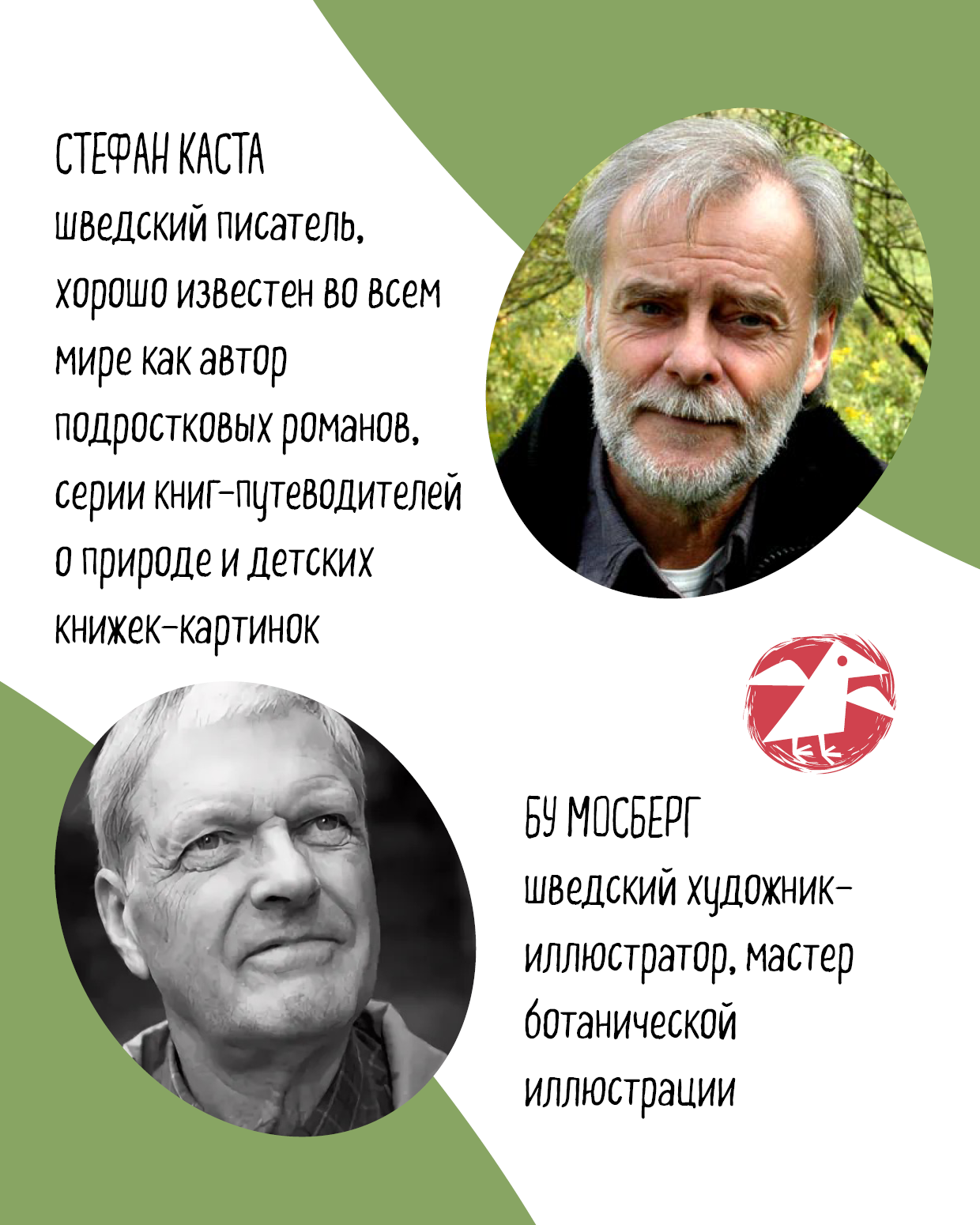 Книга ALBUS CORVUS Софи в мире деревьев - фото 9