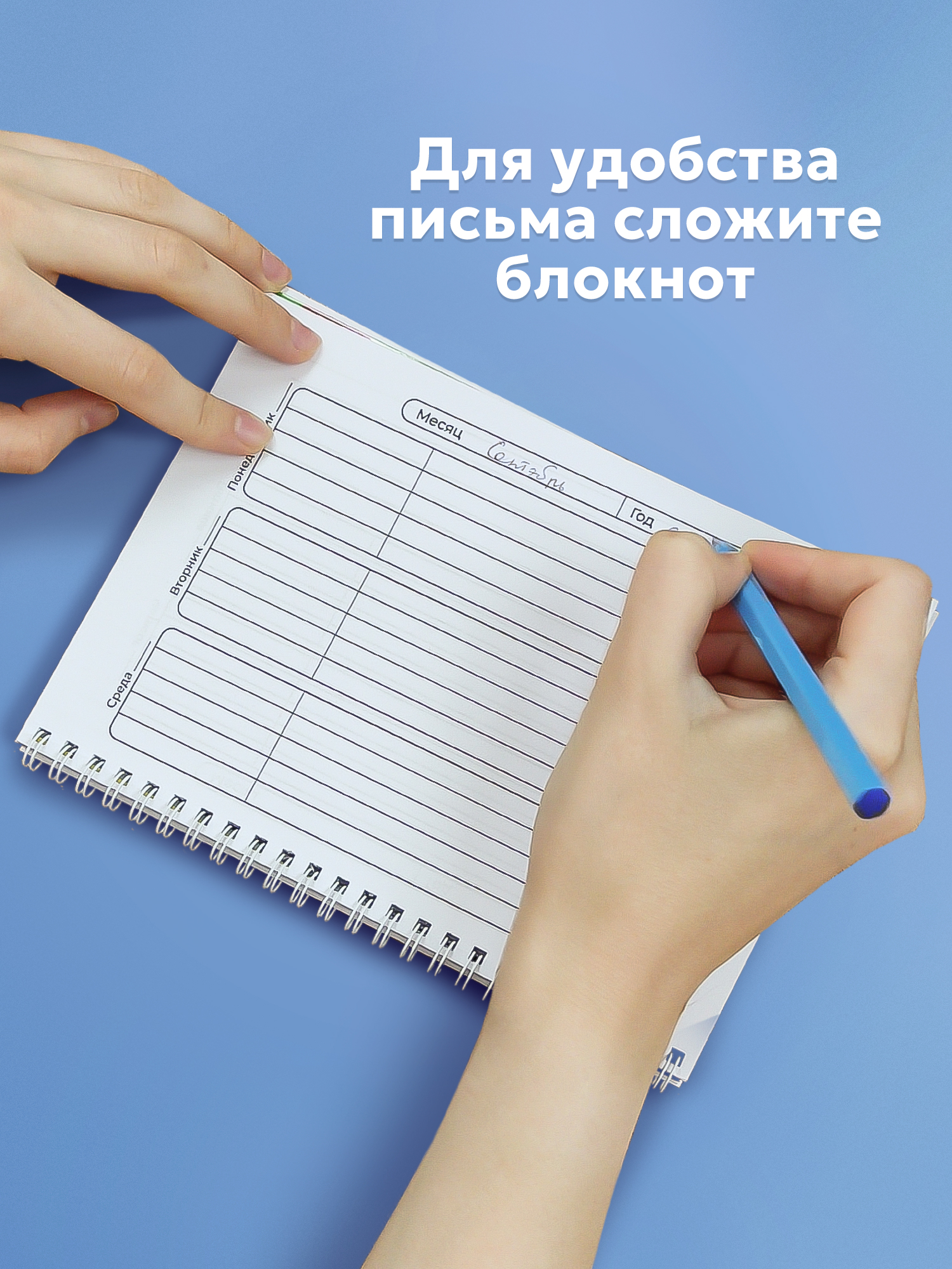 Блокнот Выручалкин Дневник первоклассника «Зебра» - фото 8