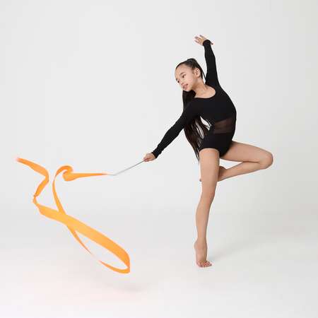 Купальник гимнастический WILDWINS