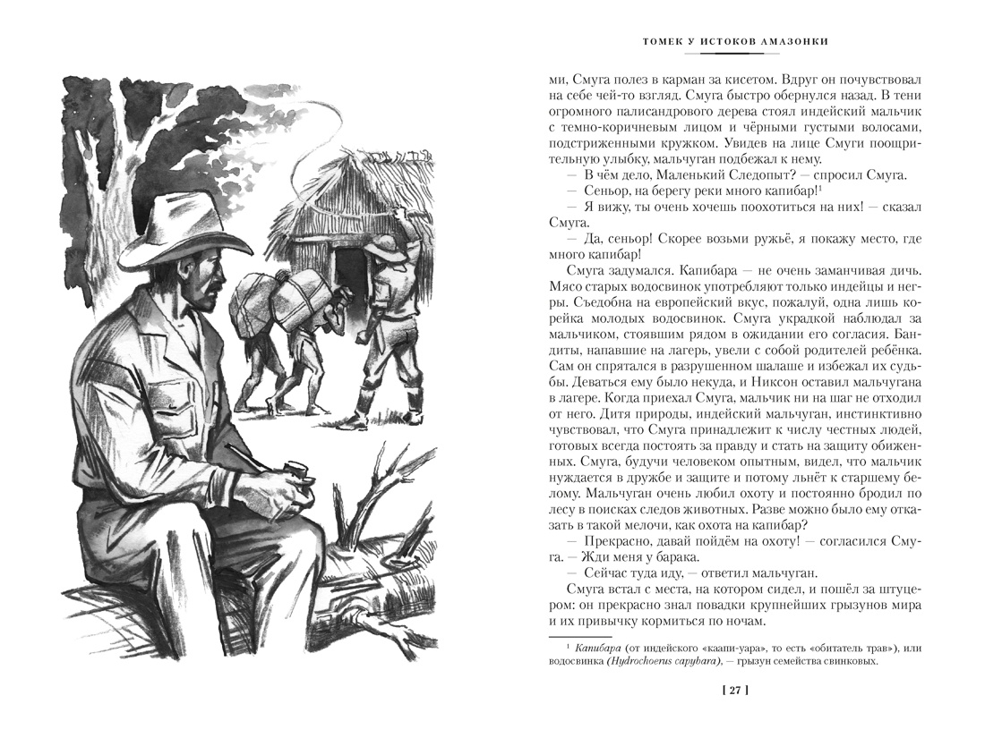 Книга АЗБУКА Томек у истоков Амазонки и другие удивительные приключения - фото 16