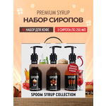 Набор сиропов SPOOM Ирландский крем Французская карамель Макадамия для кофе 3шт 250мл + 3 дозатора