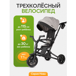 Трехколесный велосипед QPLAY