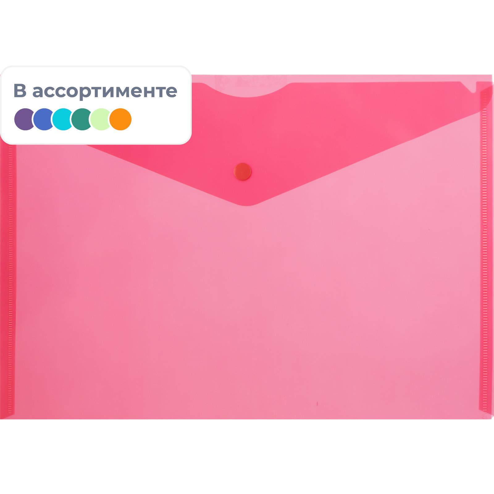 Папка для тетрадей Attache - фото 1
