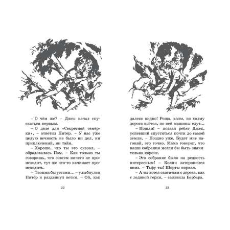 Книга МАХАОН Свидетели ограбления. Детский детектив. Секретная семёрка