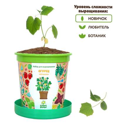 Набор для выращивания Happy Plant