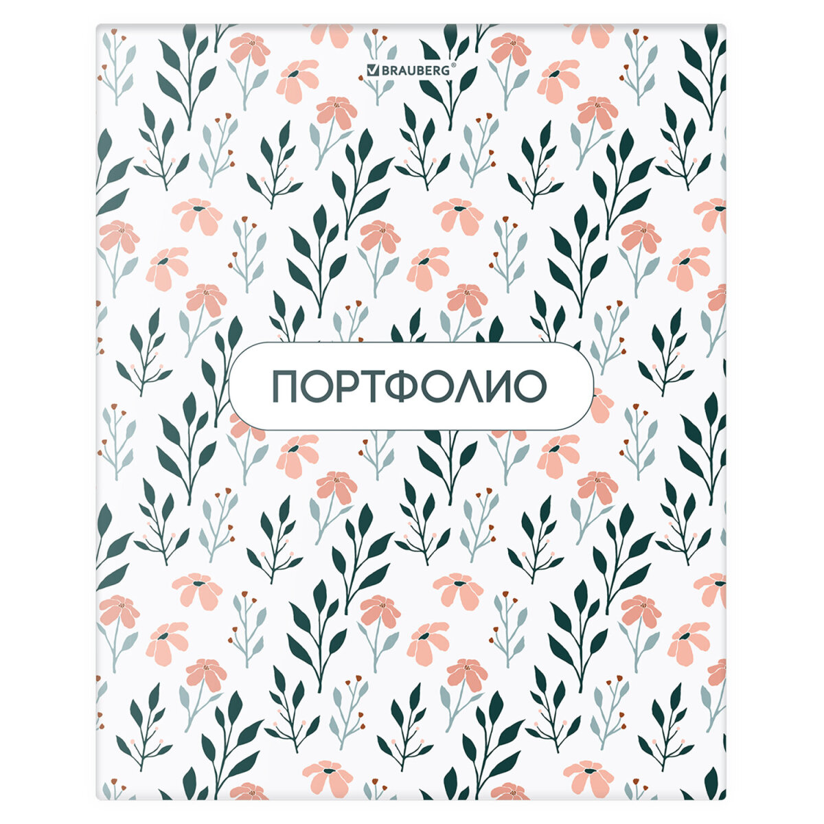 Портфолио школьника Brauberg папка А4 на кольцах 20 файлов для девочки и мальчика - фото 2