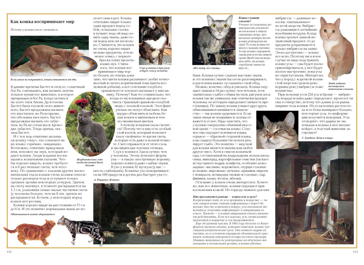 Книга Белый город Загадки животного мира - фото 7