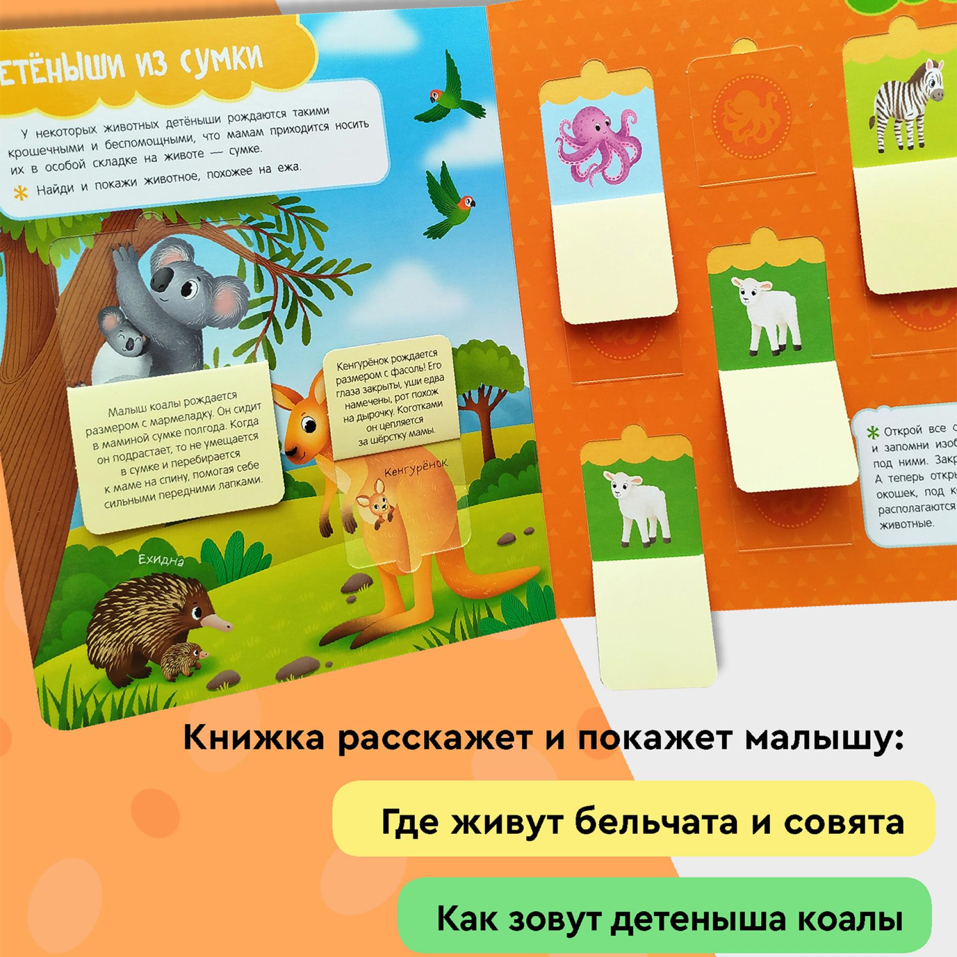 Книга Росмэн Мамы и малыши Книги с окошками - фото 8