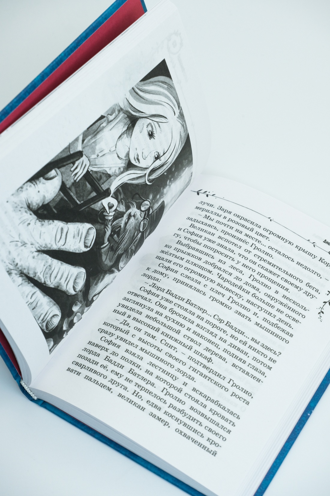 Книга Махаон Витчер М. София и мышиный лорд. Возвращение в Волшебные миры - фото 9