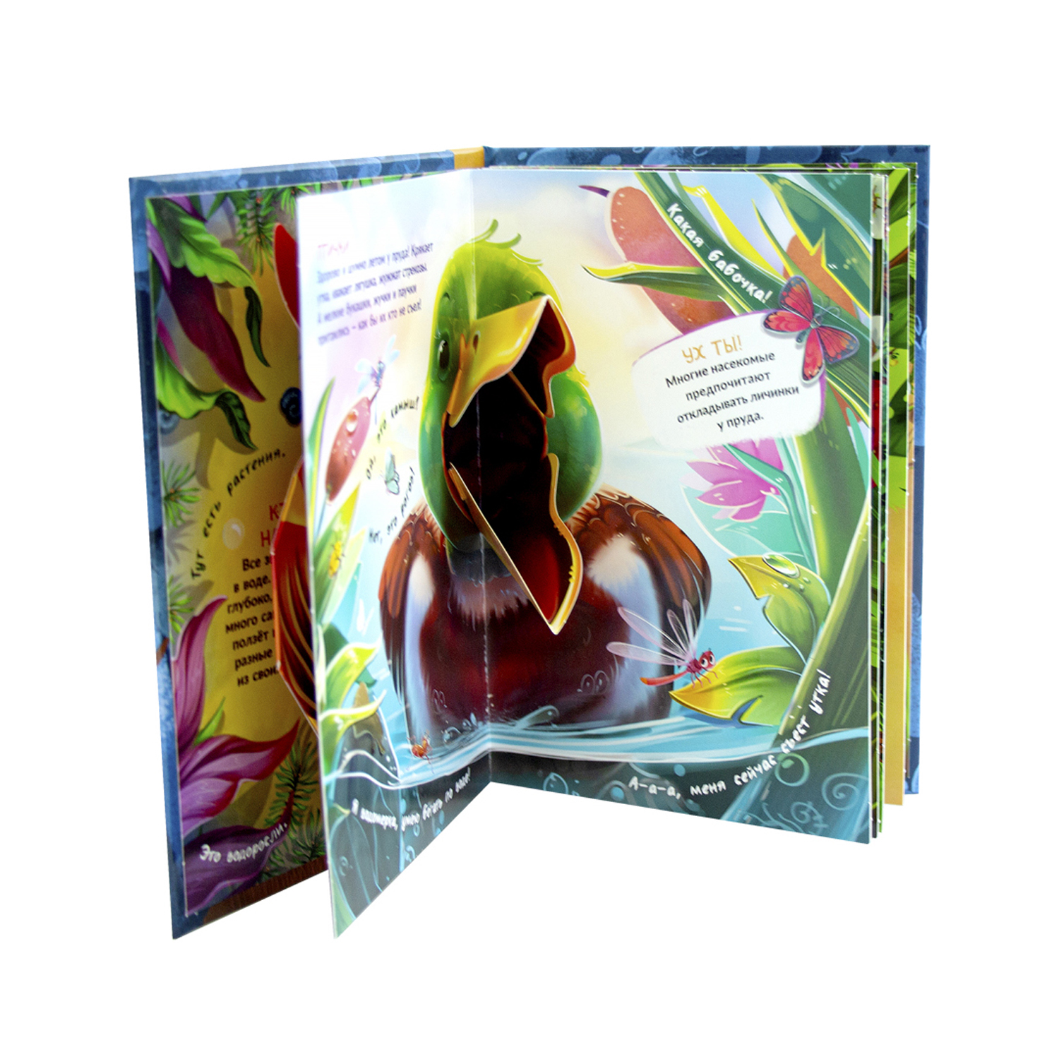 Книга Malamalama Кто где живет. С объемными картинками - фото 3