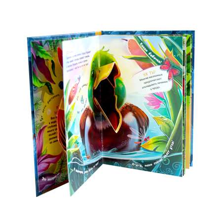 Книга Malamalama Кто где живет. С объемными картинками