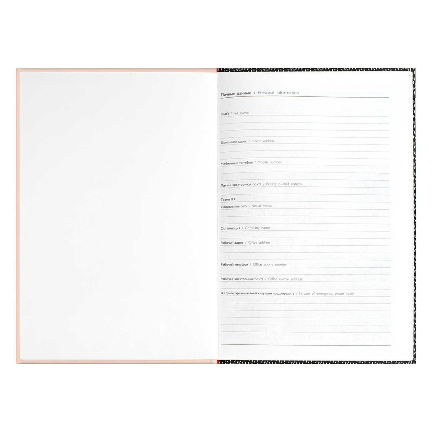 Ежедневник Феникс + 64 лист. - фото 12