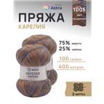 Пряжа для вязания Astra Premium карелия носочная шерсть нейлон 100 гр 400 м цвет 1005 2 мотка