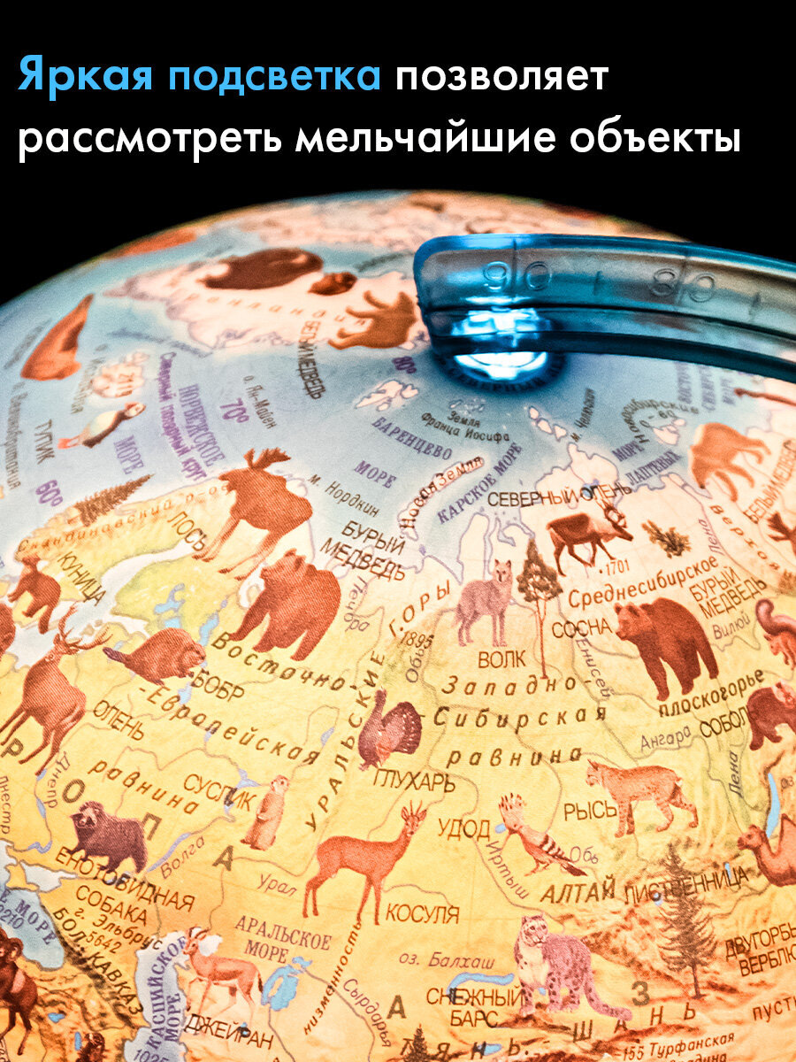 Глобус Globen зоогеографический с подсветкой диаметр 25 см - фото 2