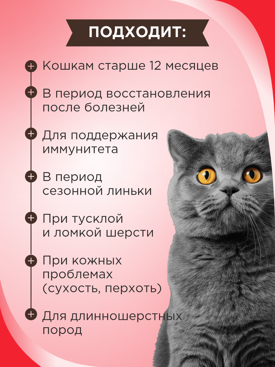 Полезное лакомство для кошек GOODR CAT со вкусом альпийской говядины 90 таблеток - фото 2