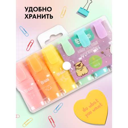 Текстовыделители SCHOOLFORMAT 6 цв.
