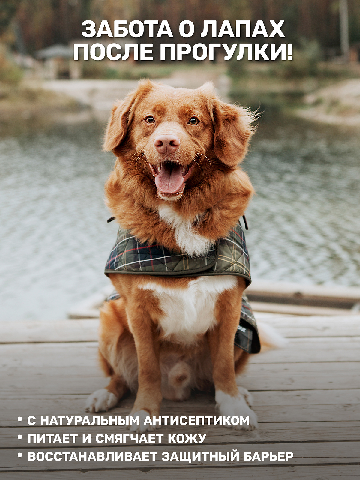 Крем-гель для лап ZOORIK заживляющий 250 мл - фото 2