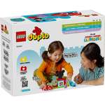 Конструктор LEGO DUPLO 10454 25 дет.