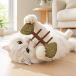 Игрушка для кошек Пижон Рыбий остов из прессованной кошачьей мяты
