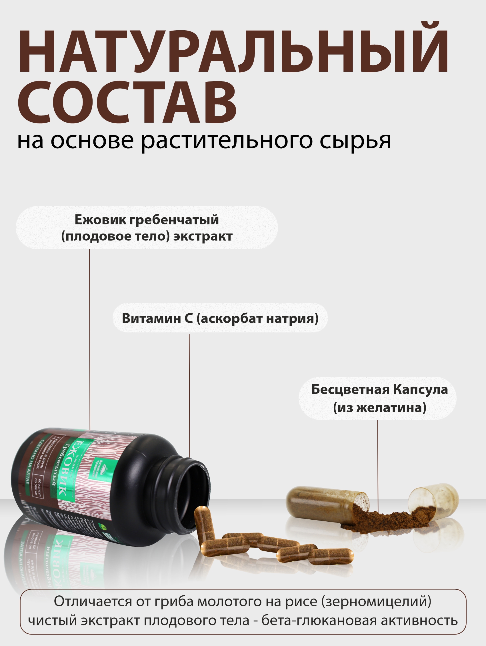 БАД к пище Алтайские традиции Концентрат Ежовик гребенчатый для мозговой активности 60 капсул - фото 4