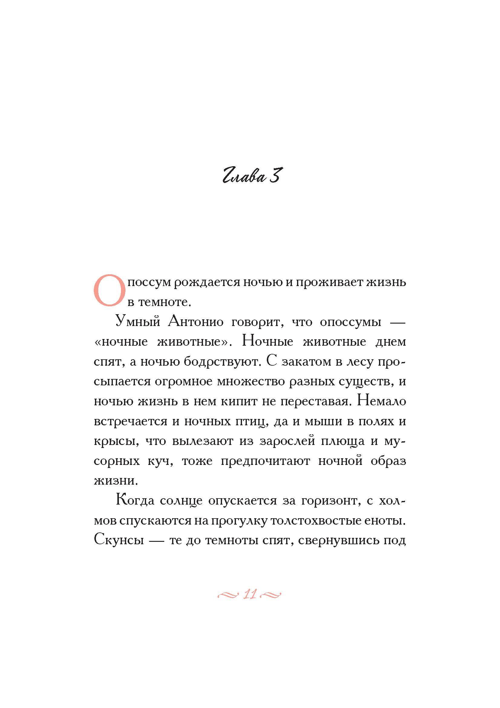 Книга Издательство Карьера Пресс Опоссум по имени Апельсинка - фото 4