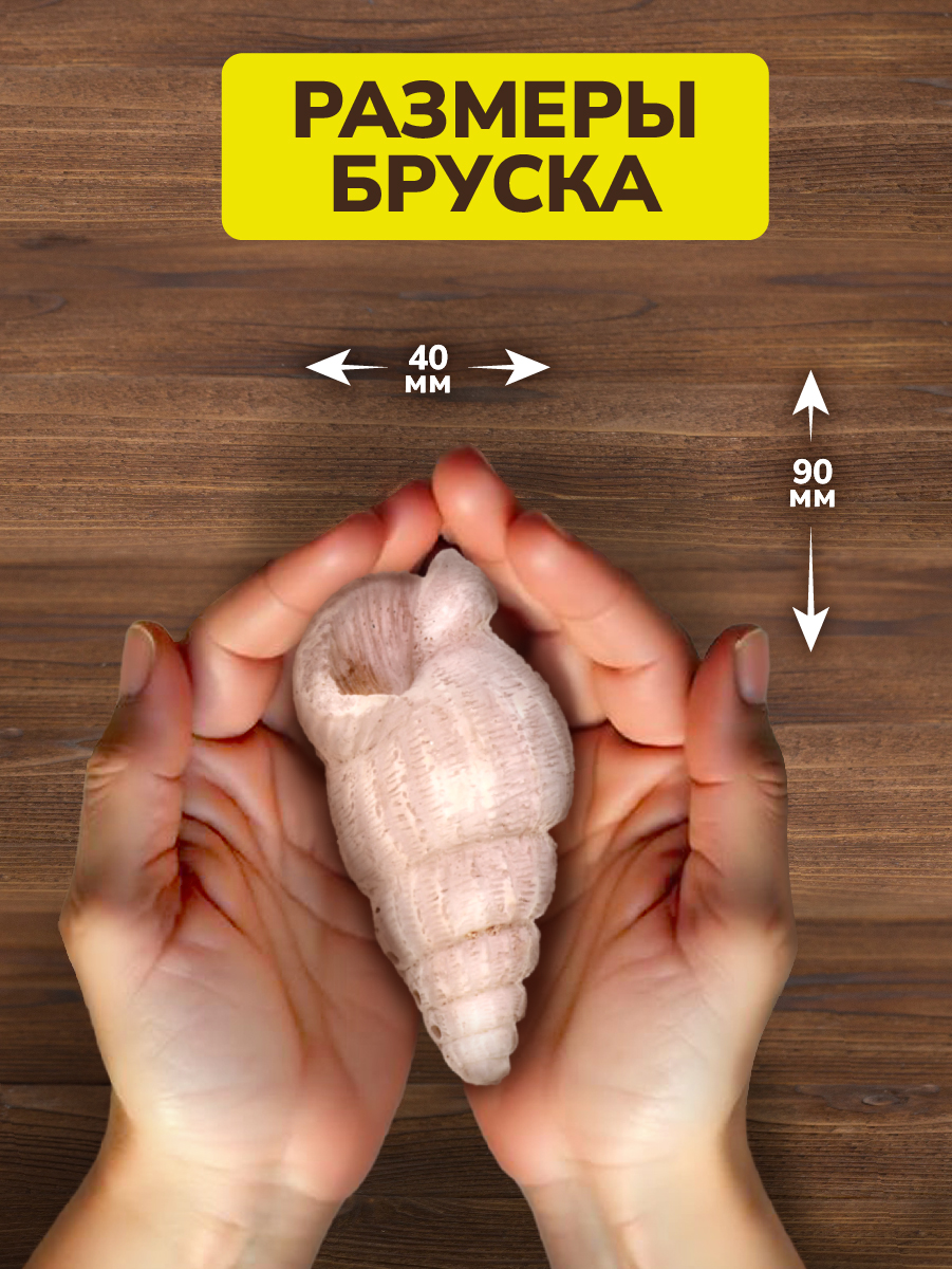 Набор для раскопок ON TIME Ракушка - фото 5